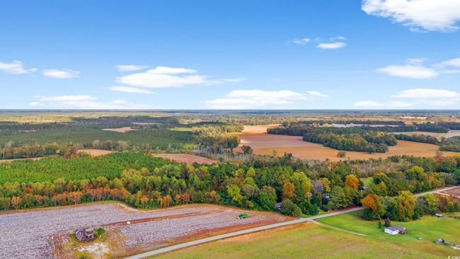 17 Arnette Rd., Home with 0 bedrooms, 0 bathrooms and null parking in Dillon SC | Image 10