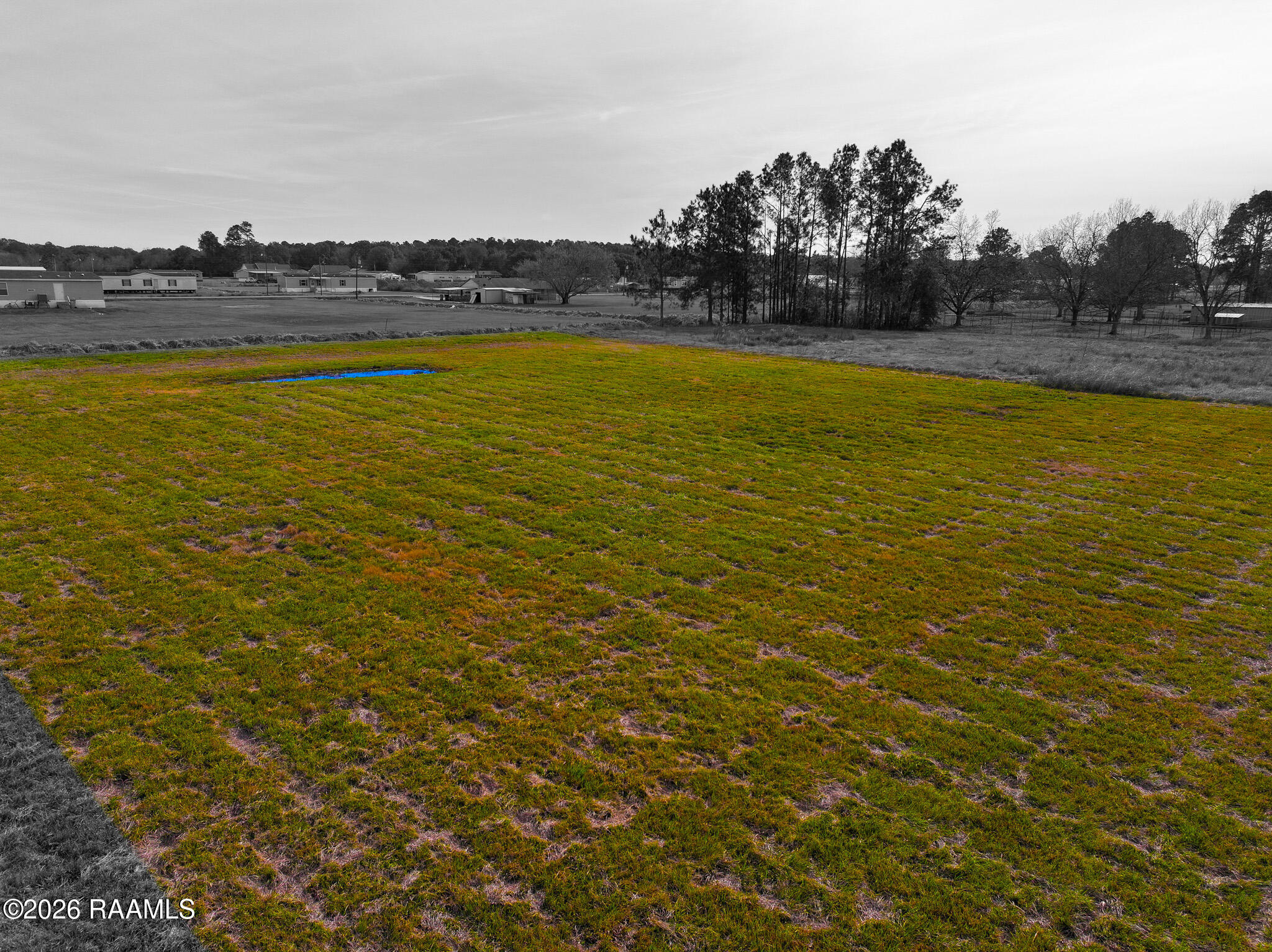 Land in Opelousas 2