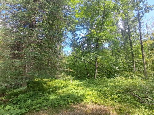 XXX Whitetail Dr, DANBURY, WI, 54830 | Card Image