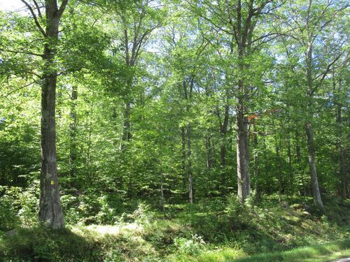 0000 Brilla Rd, MASON, WI, 54856 | Card Image