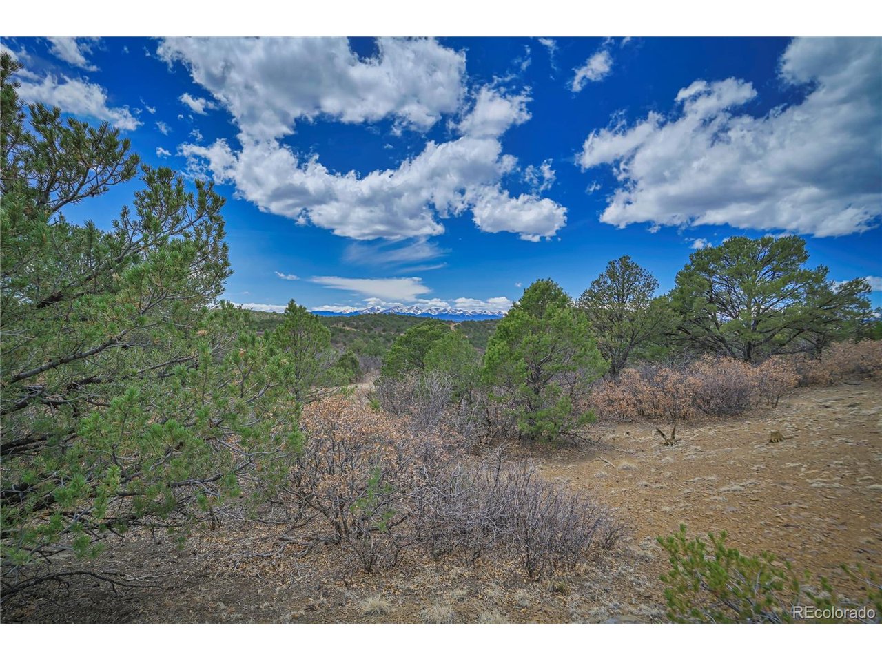 Land in Weston 3