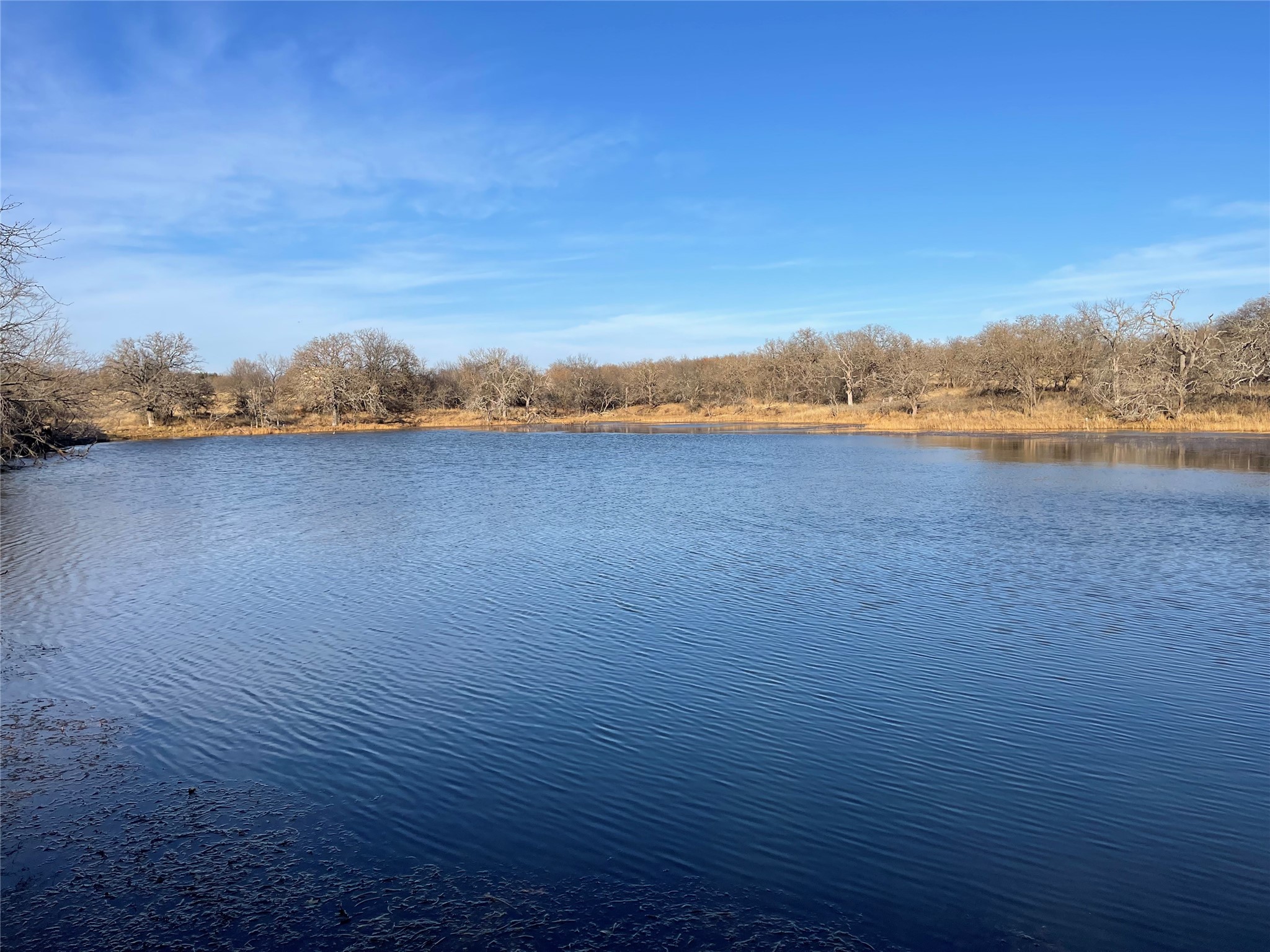 Land in Jacksboro 3