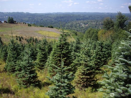 2 Birley Rd, Mossyrock, WA, 98564 | Card Image