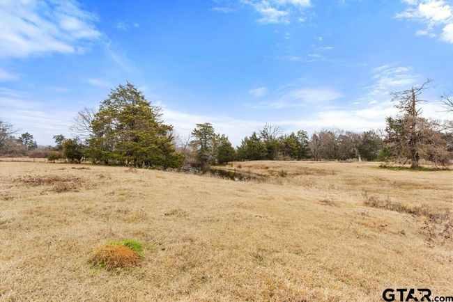 15037 State Highway 110, Home with 0 bedrooms, 0 bathrooms and null parking in Van TX | Image 37