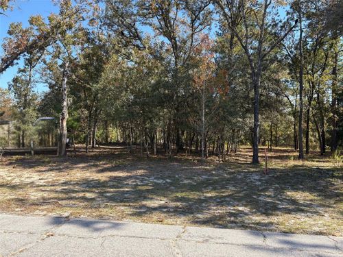 10079 N Ruth Ter, Citrus Springs, FL, 34434-3060 | Card Image