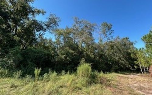 TBD 209th Pl, Live Oak, FL, 32060 | Card Image