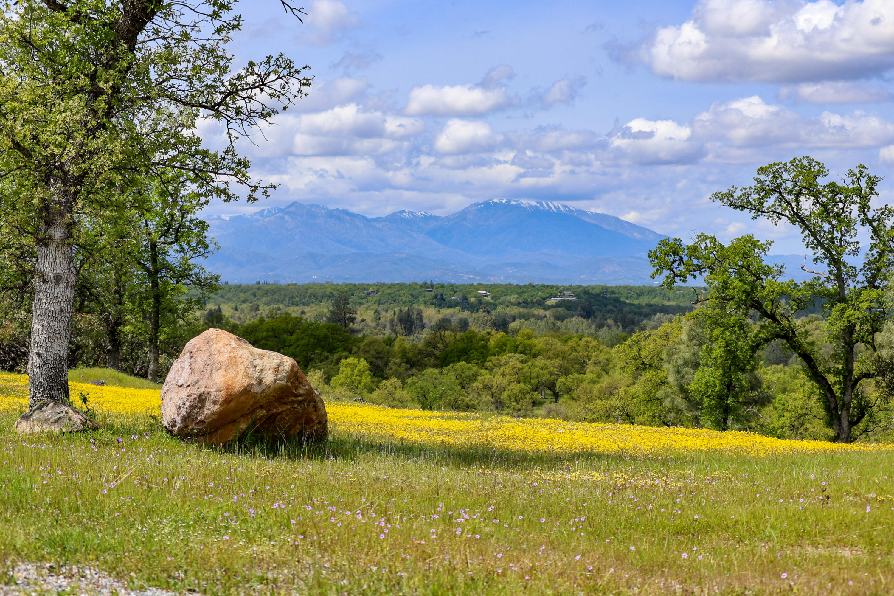 Land in Palo Cedro 5