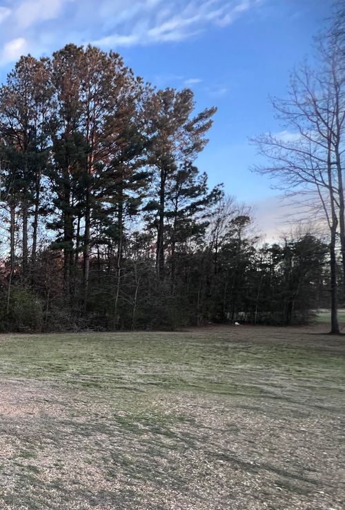 1539 California Avenue, Camden, AR, 71701 | Card Image