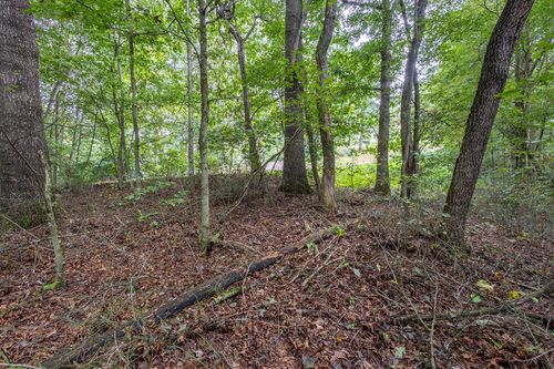3 AC Chestnut Flats Rd, Andrews, NC, 28901 | Card Image