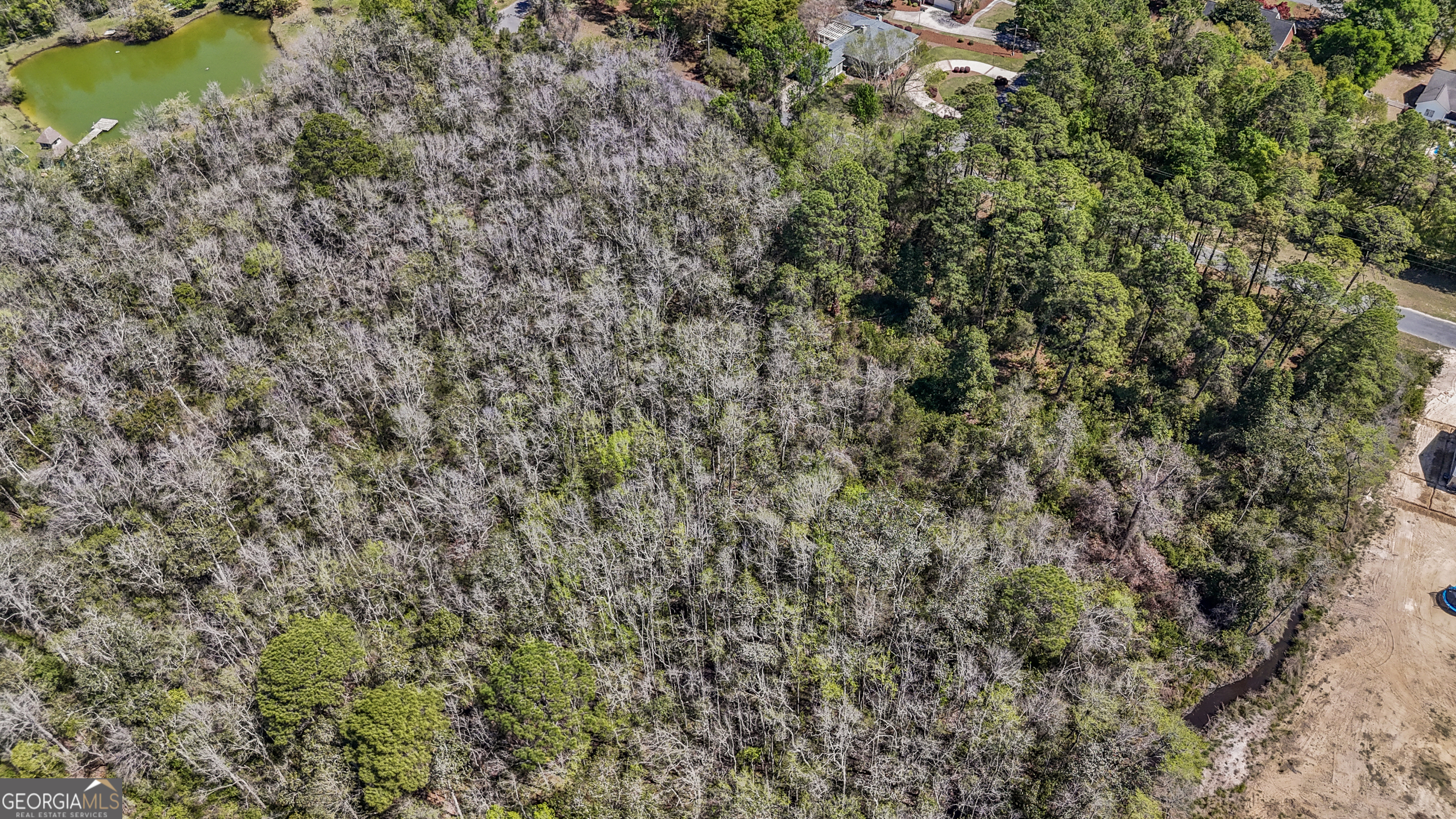Land in Jesup 4
