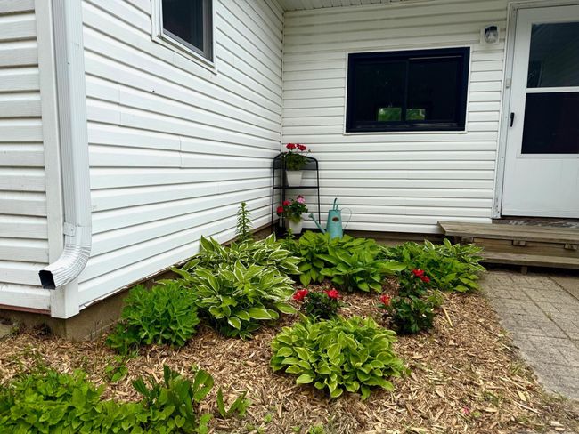 Inviting perennial garden | Image 32