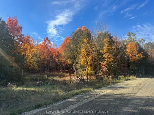 Lot 2 S Vansickle Road N, Havelock Belmont Methuen, ON, K0L1C0 | Card Image