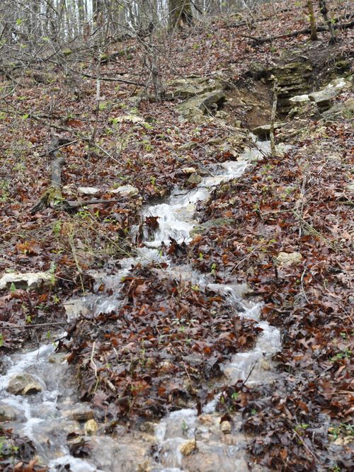 000 Highway Y, Elk Creek, MO, 65464 | Card Image
