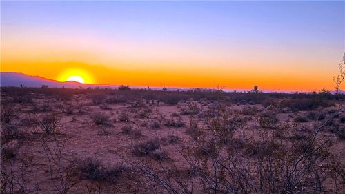 255 Dead Eye Rd, Yucca, AZ, 86438 | Card Image