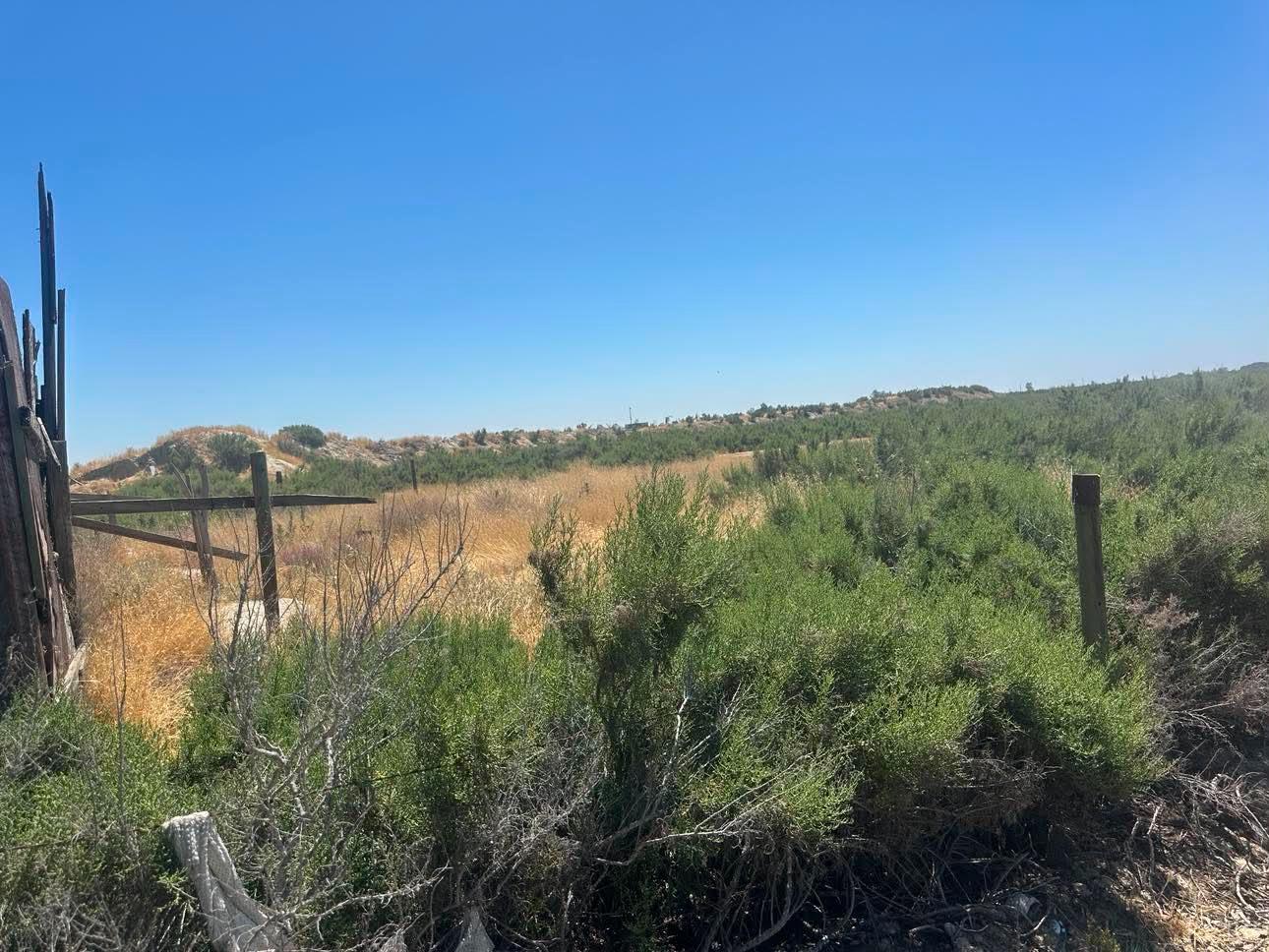 Land in Lemoore 4