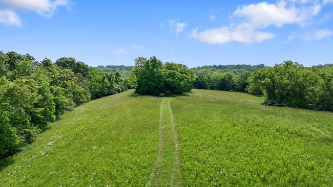 1649 Mudlick Rd, Home with 0 bedrooms, 0 bathrooms and null parking in Cynthiana KY | Image 15