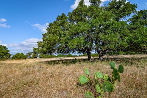 21-21 Legacy Oaks Dr, Harper, TX, 78631 | Card Image