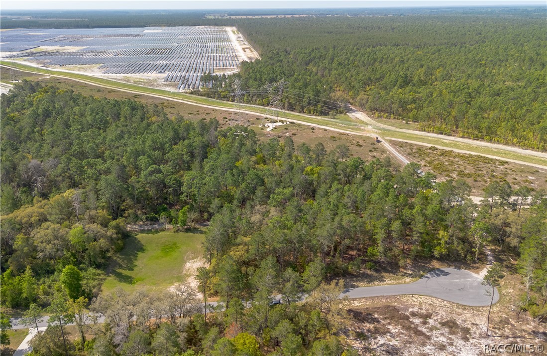 Land in Ocala 3