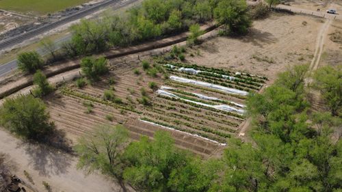 9 Burson Lane, Belen, NM, 87002 | Card Image