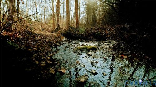 00 Cartersville Rd., New Canton, VA, 23123 | Card Image