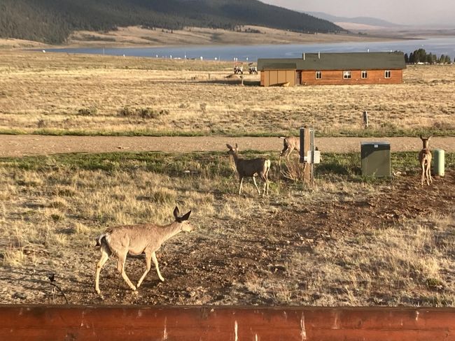 11 Koala Ct, House other with 2 bedrooms, 2 bathrooms and null parking in Eagle Nest NM | Image 36