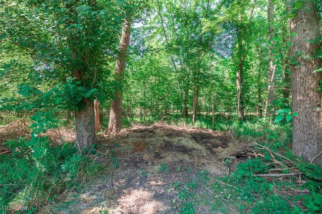 7500 Stearns Rd, House other with 3 bedrooms, 2 bathrooms and null parking in Olmsted Twp OH | Image 10