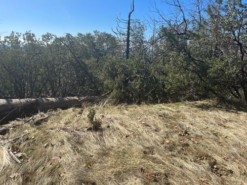 6225 Old Mill Rd, Mariposa, CA, 95338 | Card Image