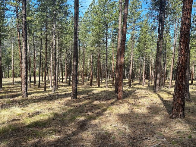 31760 Old Highway 10 W, Home with 0 bedrooms, 0 bathrooms and null parking in Alberton MT | Image 27