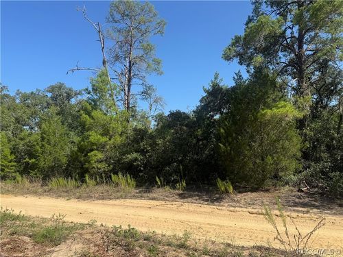 2905 Woodhill Street, INVERNESS, FL, 34452 | Card Image