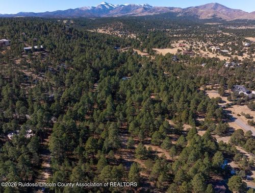 121 Stag Loop, Alto, NM, 88312-9534 | Card Image