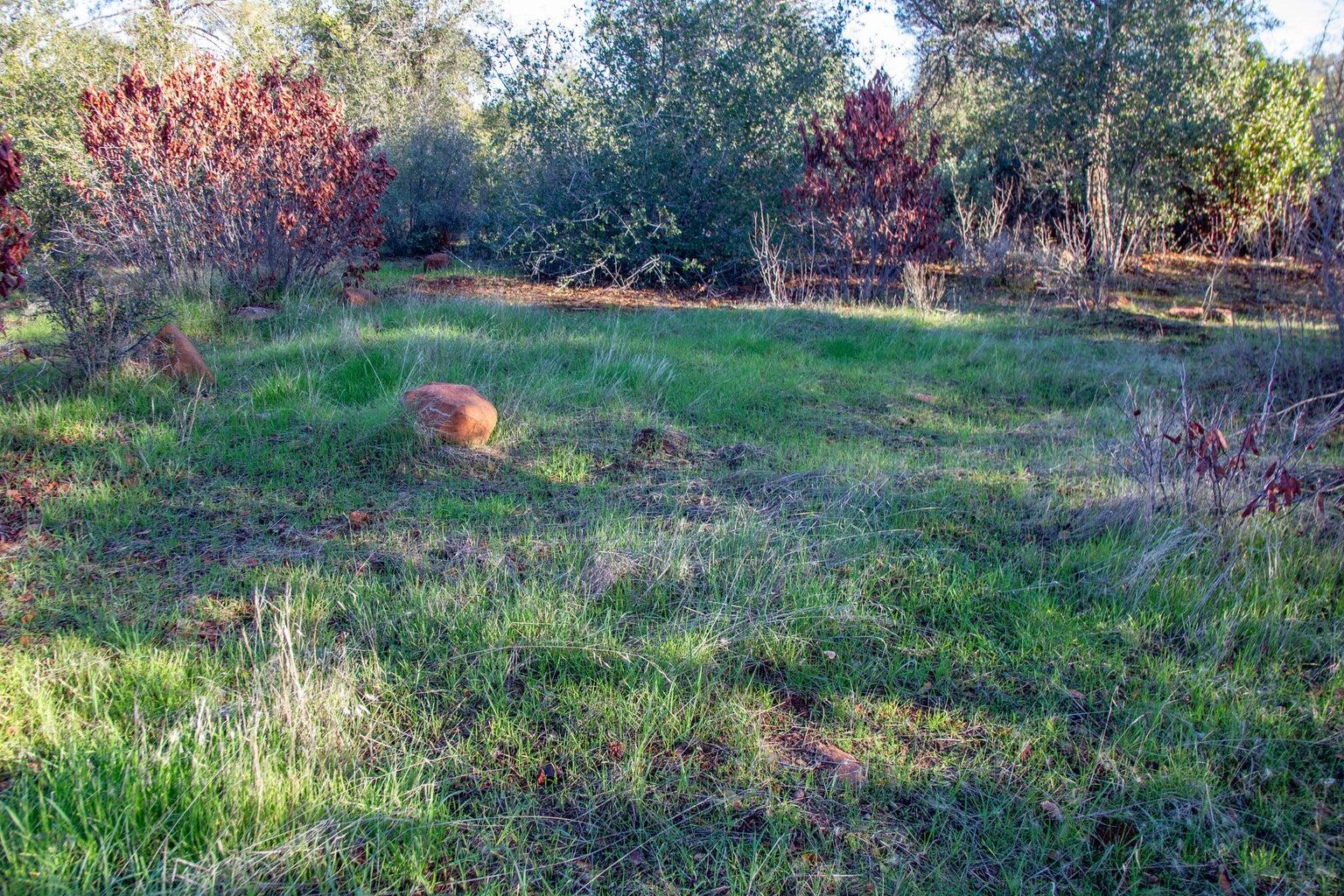 Land in Shingletown