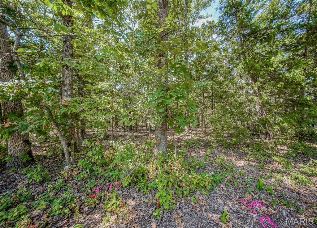 Land in Rolla