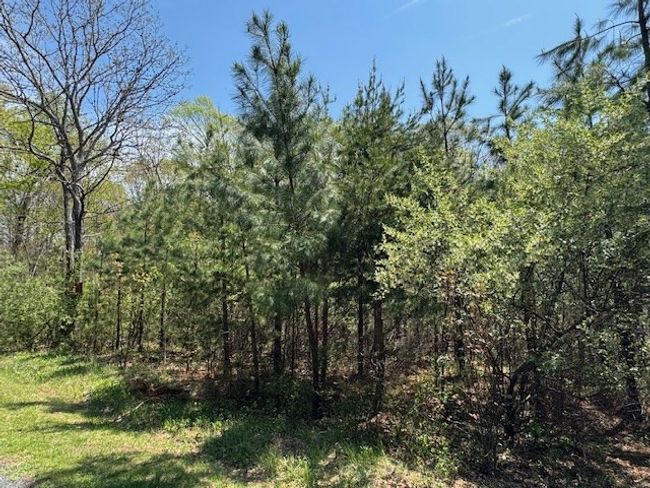 7 - 7 Spencer Rd, Home with 0 bedrooms, 0 bathrooms and null parking in Concord VA | Image 6