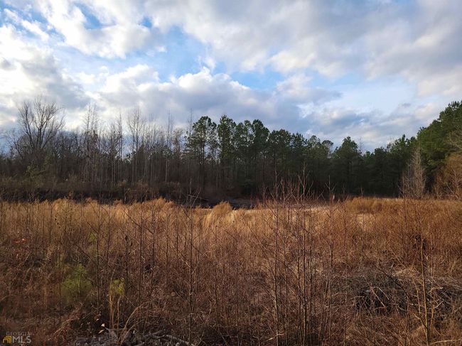 2757 Us Highway 1 N, Home with 0 bedrooms, 0 bathrooms and null parking in swainsboro GA | Image 9