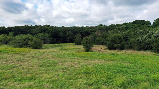1563 Fm 667, Home with 0 bedrooms, 0 bathrooms and null parking in Purdon TX | Image 7