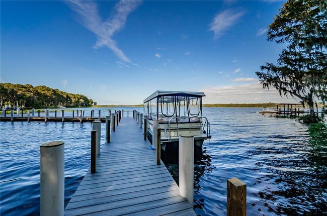 Community pontoon boats for tours of Lake Tarpon with a stop at a lakefront restaurant for lunch~ | Image 44