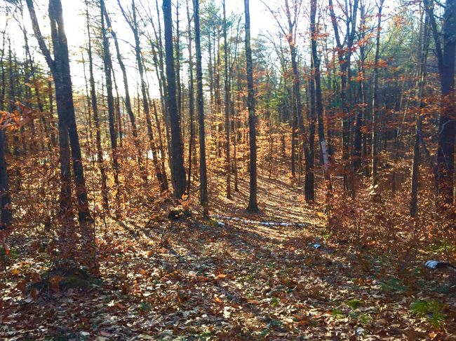 76 Edgerly School Rd, House other with 3 bedrooms, 1 bathrooms and null parking in Meredith NH | Image 11