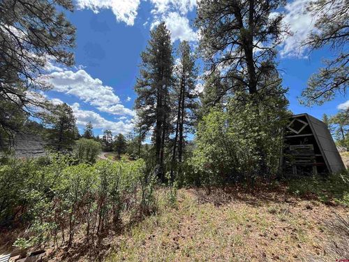 320 Deer Trl, Pagosa Springs, CO, 81147-9637 | Card Image