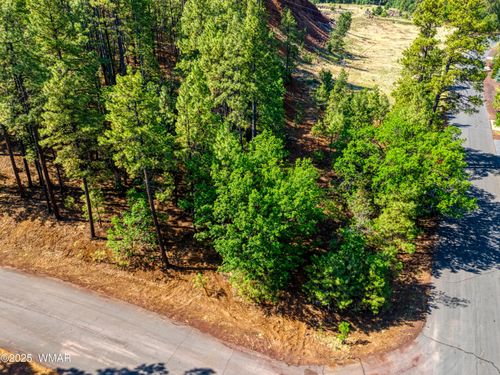 6281 Bent Oak Dr, Pinetop, AZ, 85935 | Card Image