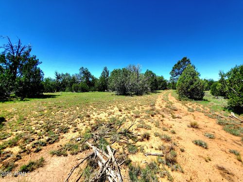 229-8571 Haven Crest Dr, Happy Jack, AZ, 86024 | Card Image