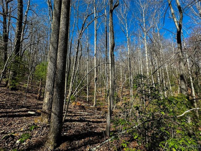 41.18 Acres (Off Of) Pole Bridge Rd, Home with 0 bedrooms, 0 bathrooms and null parking in Stuart VA | Image 17