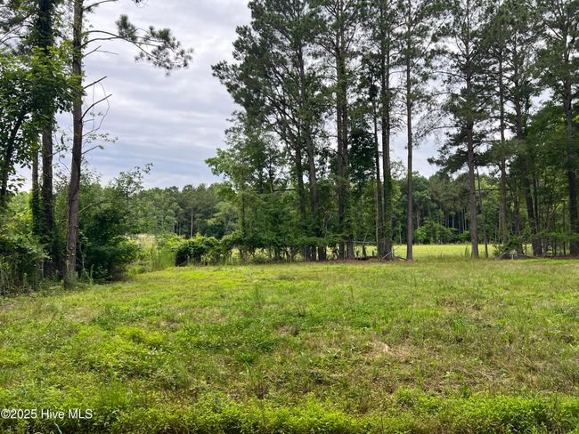 3330 Mccaskey Rd, Home with 0 bedrooms, 0 bathrooms and null parking in Williamston NC | Image 8