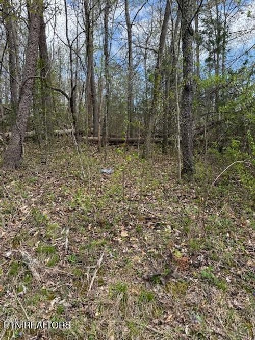 0 Clear Springs Rd, Harriman, TN, 37748 | Card Image