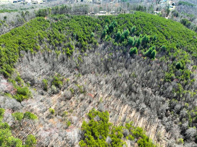8 | Image 8