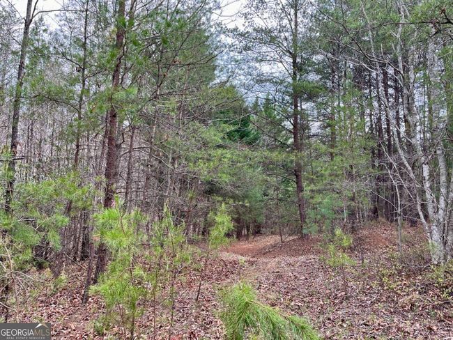 0 Mountain Ridge Dr, Home with 0 bedrooms, 0 bathrooms and null parking in Dahlonega GA | Image 8
