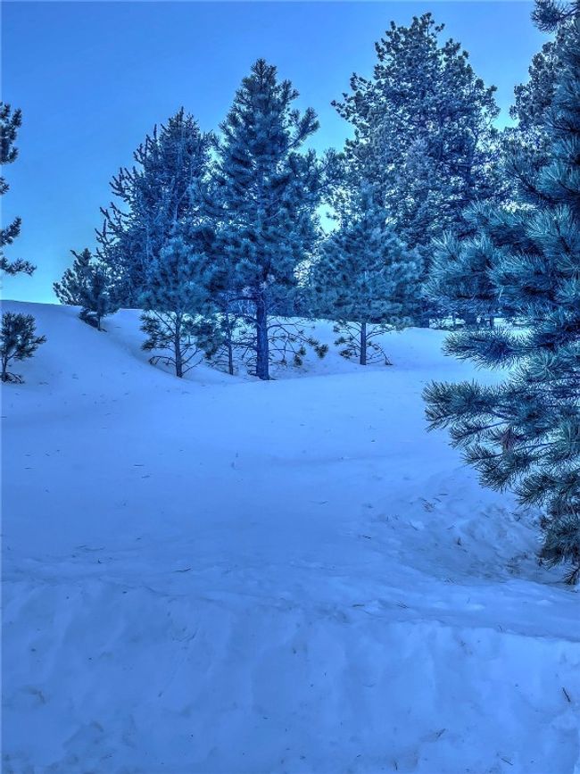 1174 Monarch Dr, Home with 0 bedrooms, 0 bathrooms and null parking in Cripple Creek CO | Image 21