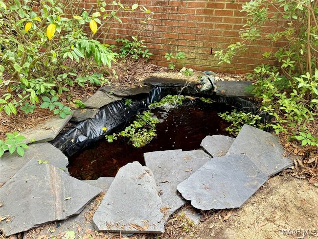 Backyard pond ready for fish, plants or leave as is! | Image 53
