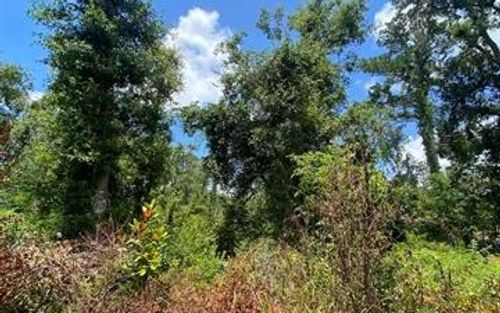 0 Sw Main St, Greenville, FL, 32331 | Card Image