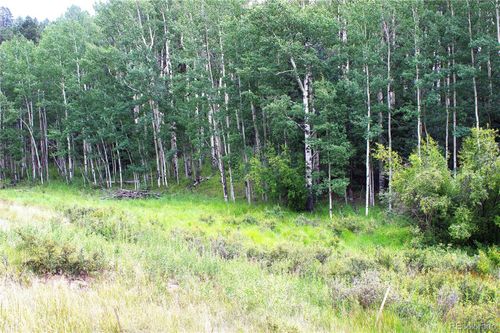 344 Grey Eagle Dr, Cripple Creek, CO, 80813 | Card Image