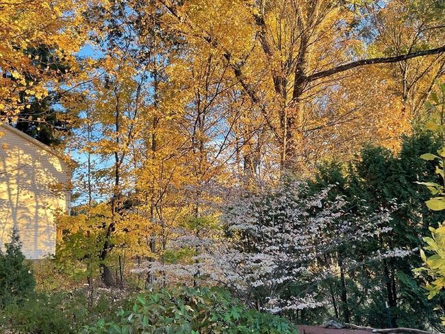 1 Westview Ter, House other with 3 bedrooms, 2 bathrooms and 3 parking in Easthampton MA | Image 41